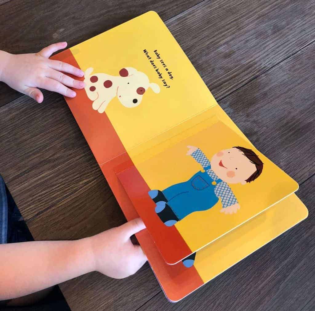 lift-the-flap-book