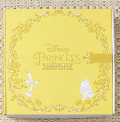 Disney-Princess-Costume-Box