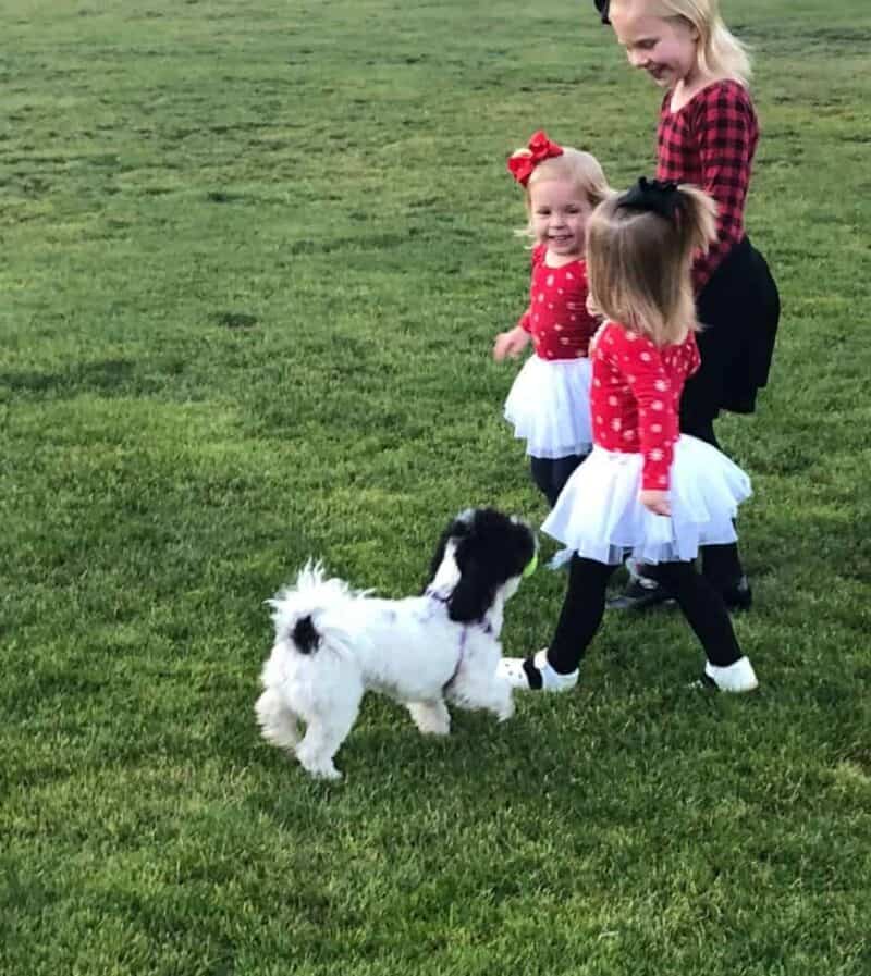 The Cutest Little Girl Tutus and Leotards at Morgan & Mae Co. – and an EXCLUSIVE Coupon Code!