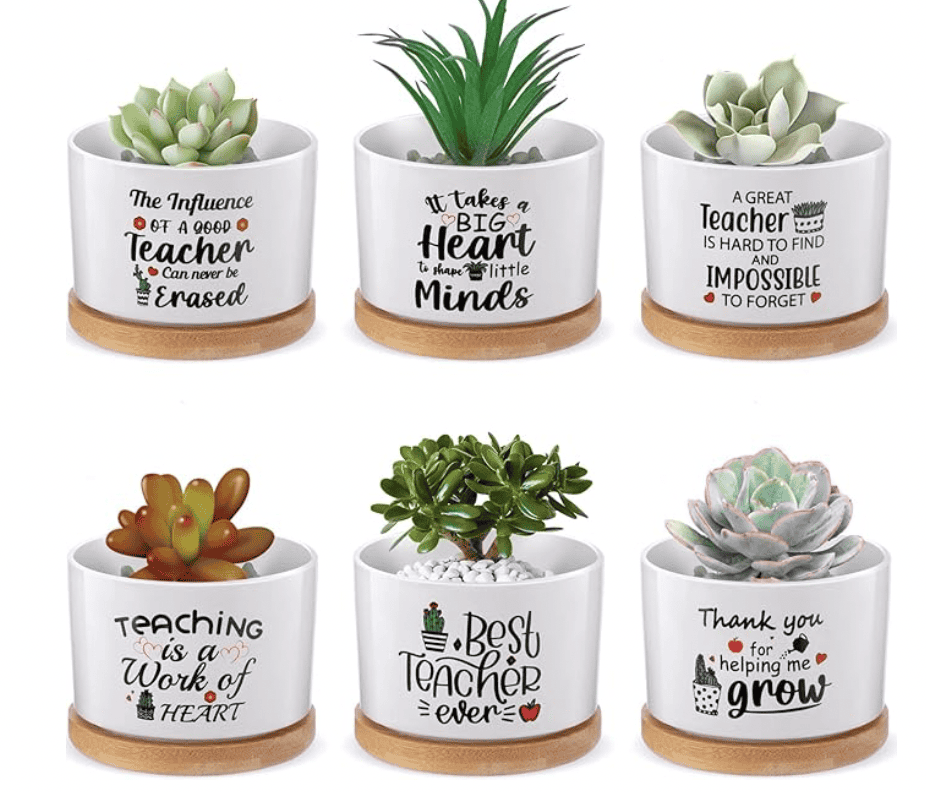 teacher appreciation gift