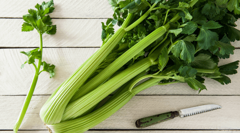 celery-juice-recipe