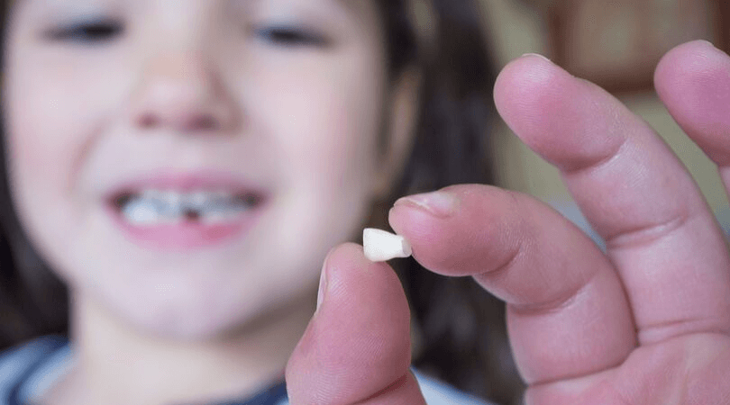 free tooth fairy letter template download free tooth fairy letter template download