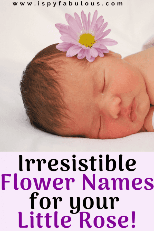 81 Irresistible Flower Names for Girls I Spy Fabulous