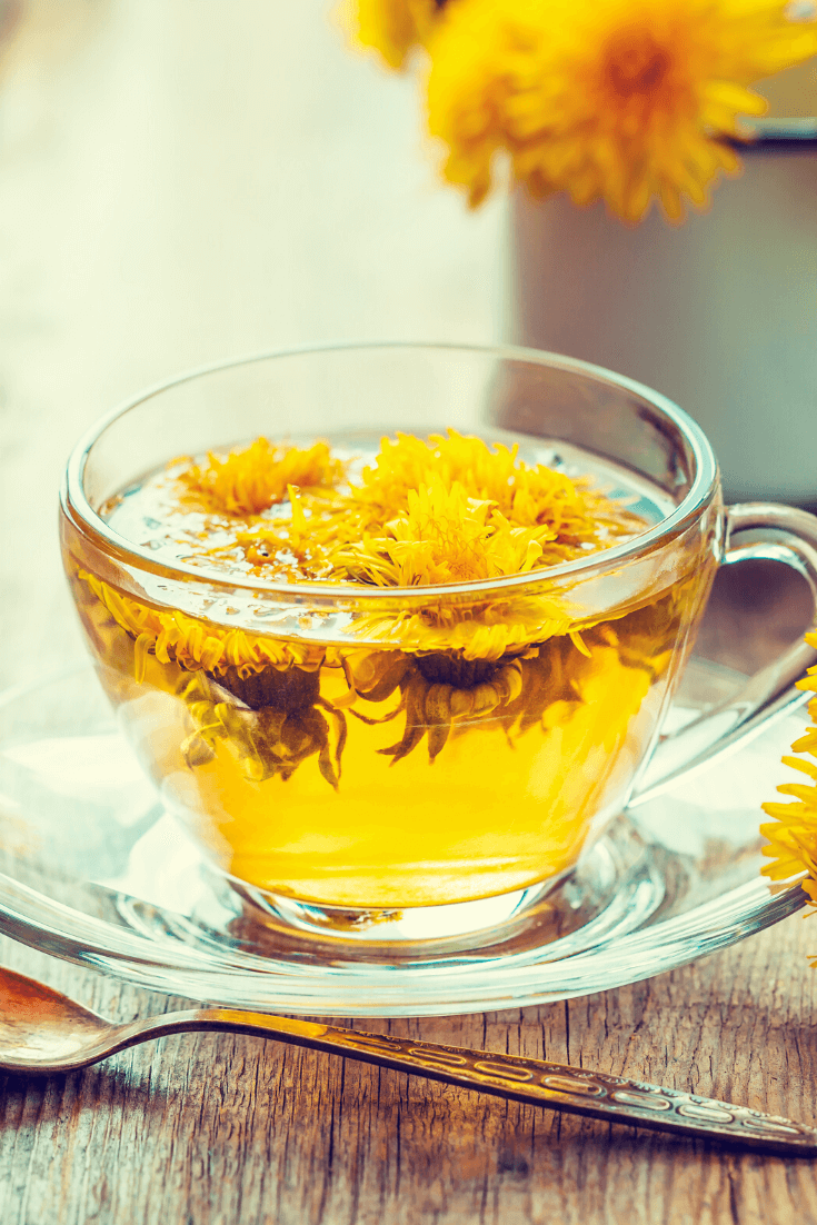 The Benefits of Drinking Dandelion Root Tea if You Have an Autoimmune Disease!