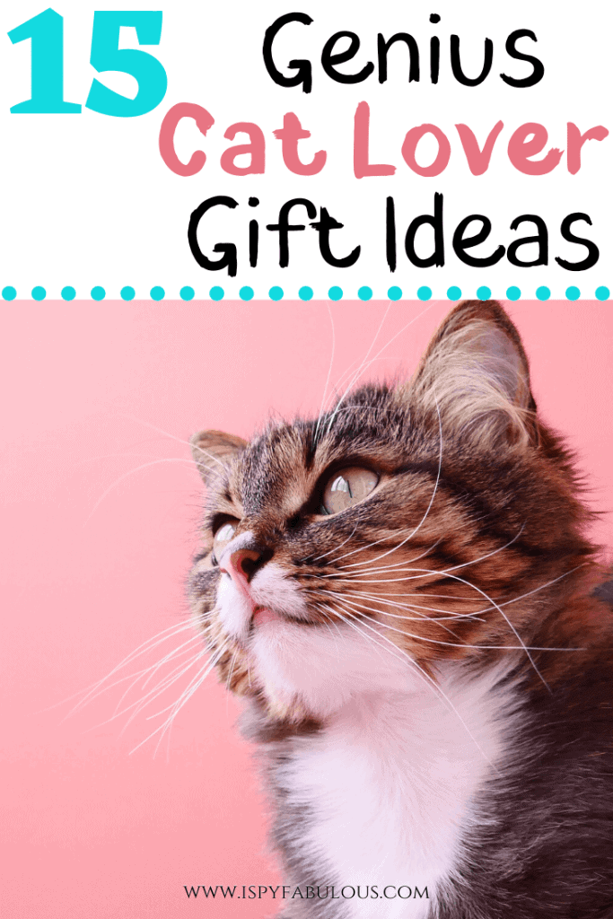 gifts for cat lovers