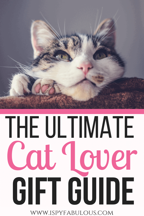 gifts for cat lovers