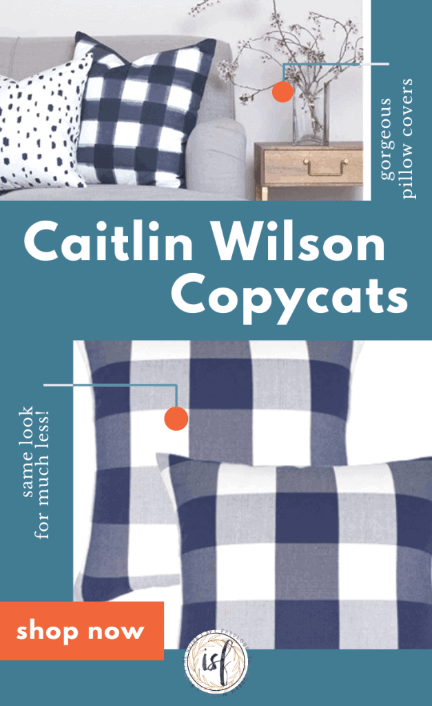 caitlin wilson copycat pillows