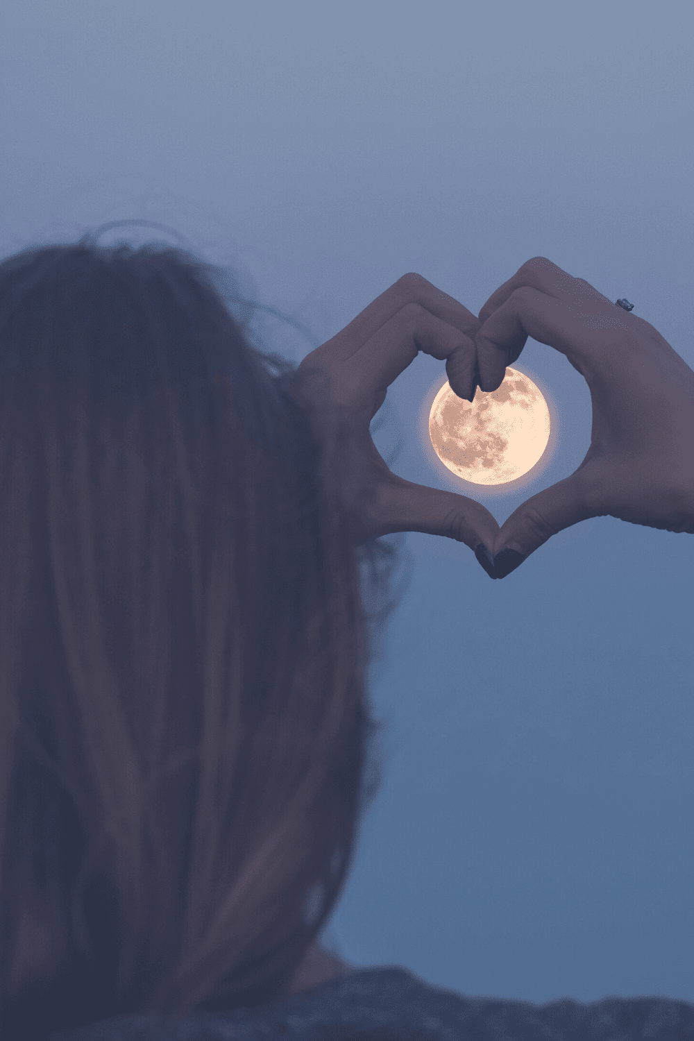 What is your Sun, Moon, and Rising Sign? Find Out All the Details Here!