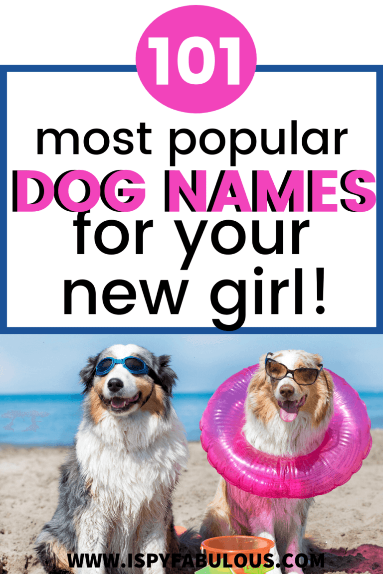 101 Most Popular Girl Dog Names! I Spy Fabulous