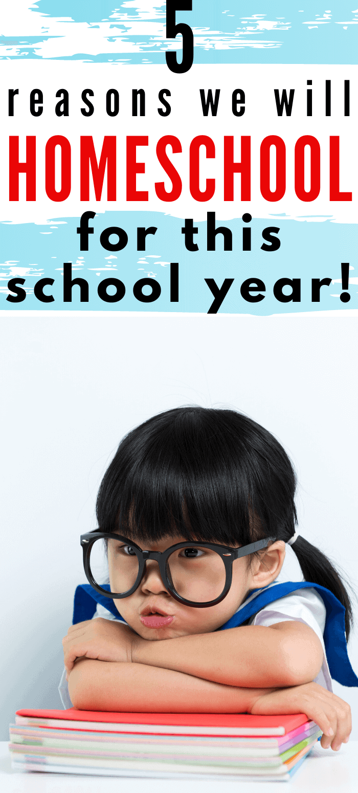 5 Reasons Why I Will Homeschool My Child Next School Year! - I Spy Fabulous