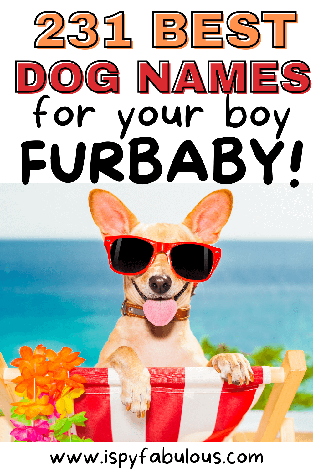 Best Boy Dog Names 2025