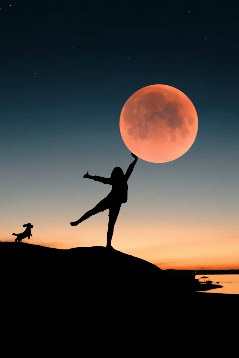What Is Your Moon Sign & What Does It Mean?