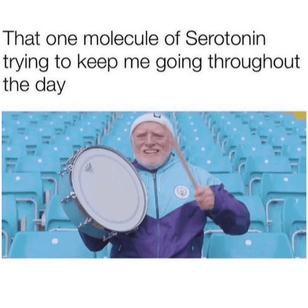 mom memes mom memes