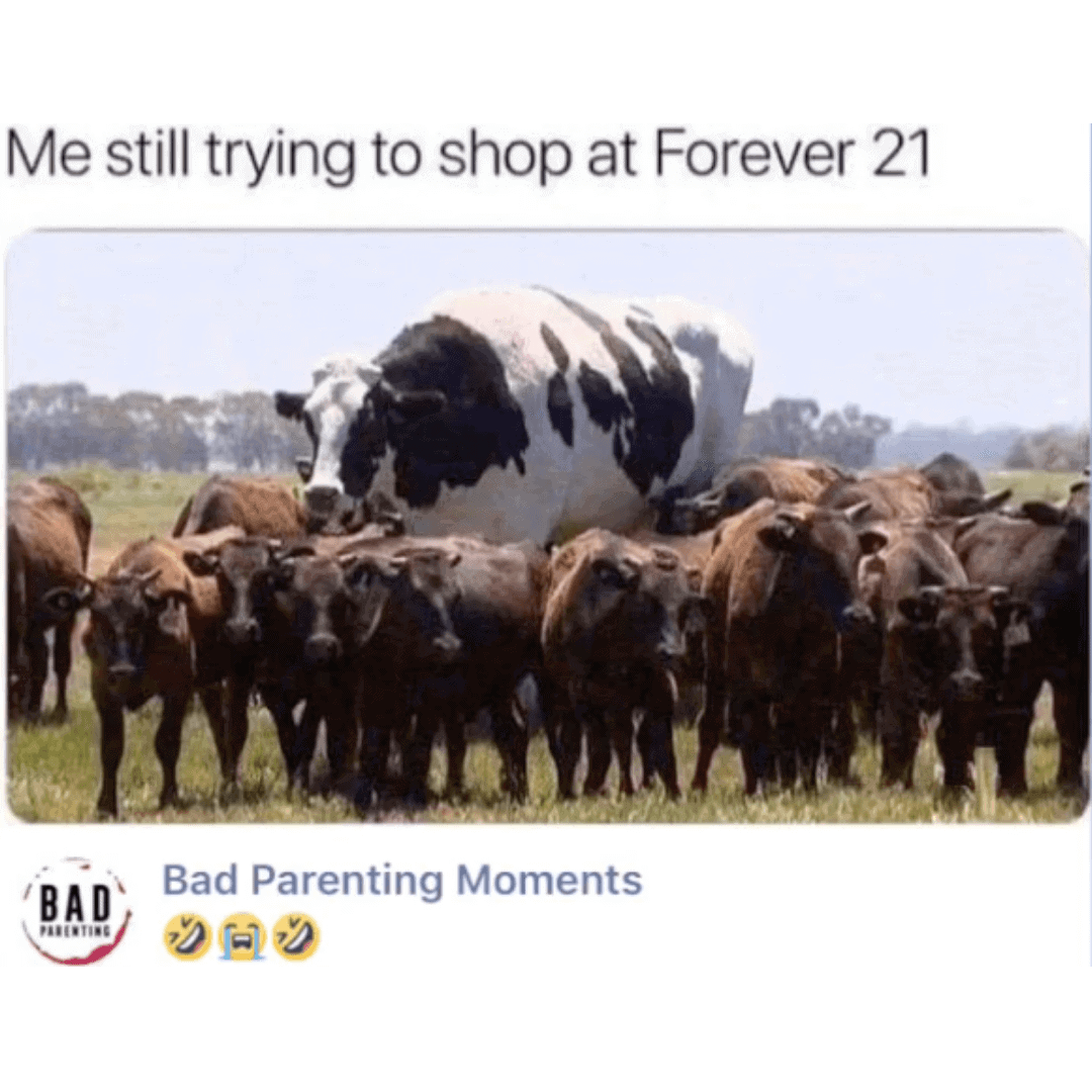 mom memes mom memes