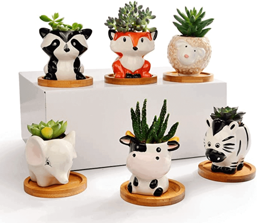 gifts for animal lovers