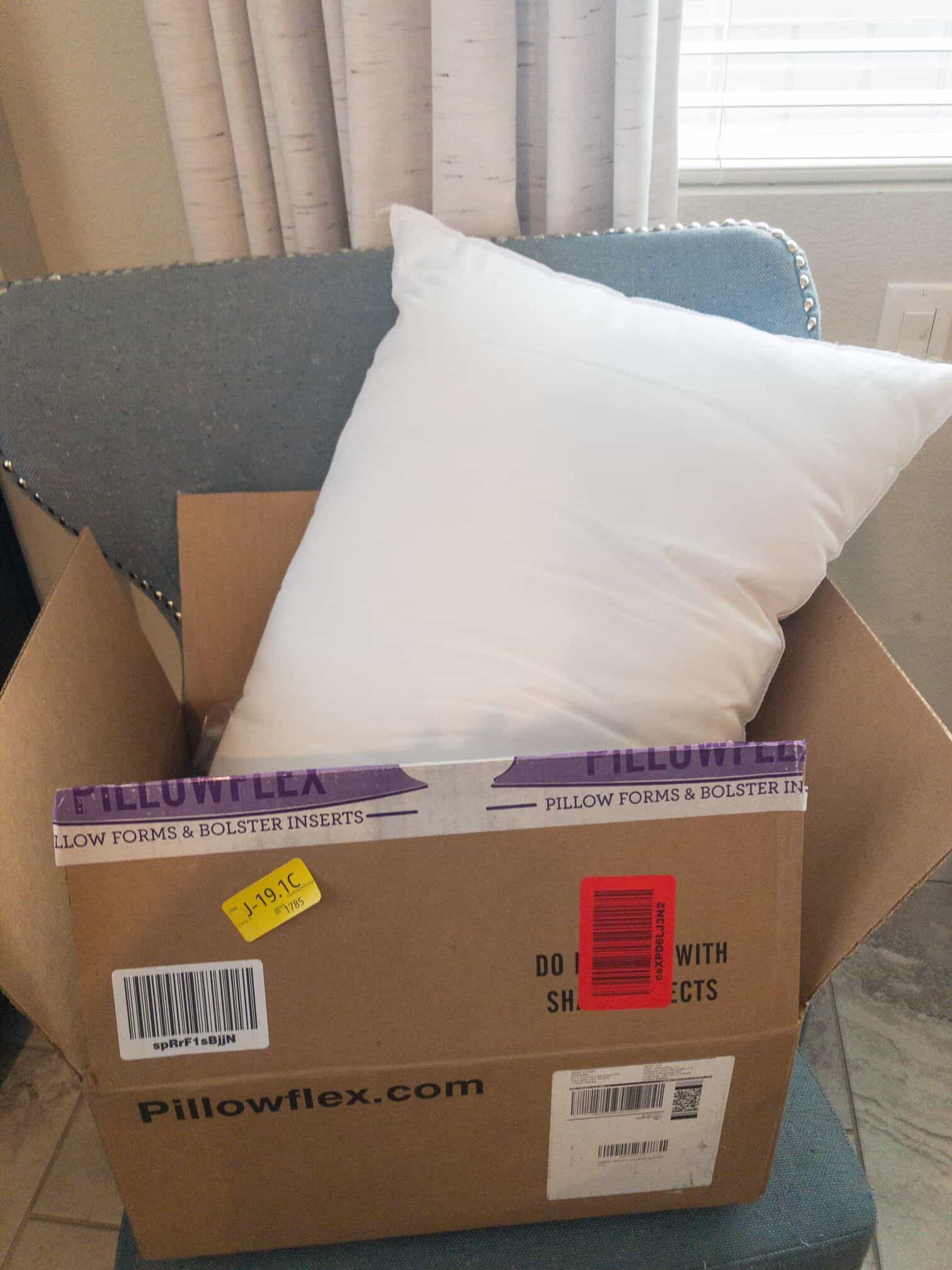 Arsuite Septimus Indoor/Outdoor Pillow Insert & Reviews