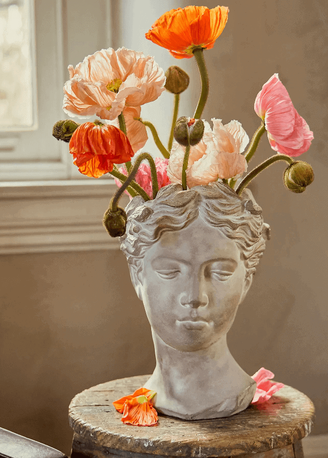 anthropologie grecian bust pot