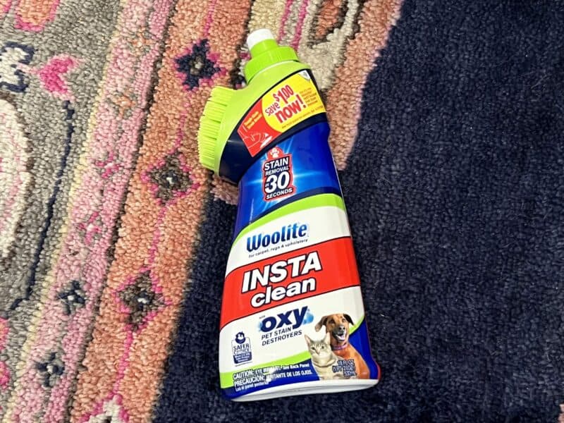 5 Best Cleaners for Pet Accidents That Remove the Smell I Spy Fabulous