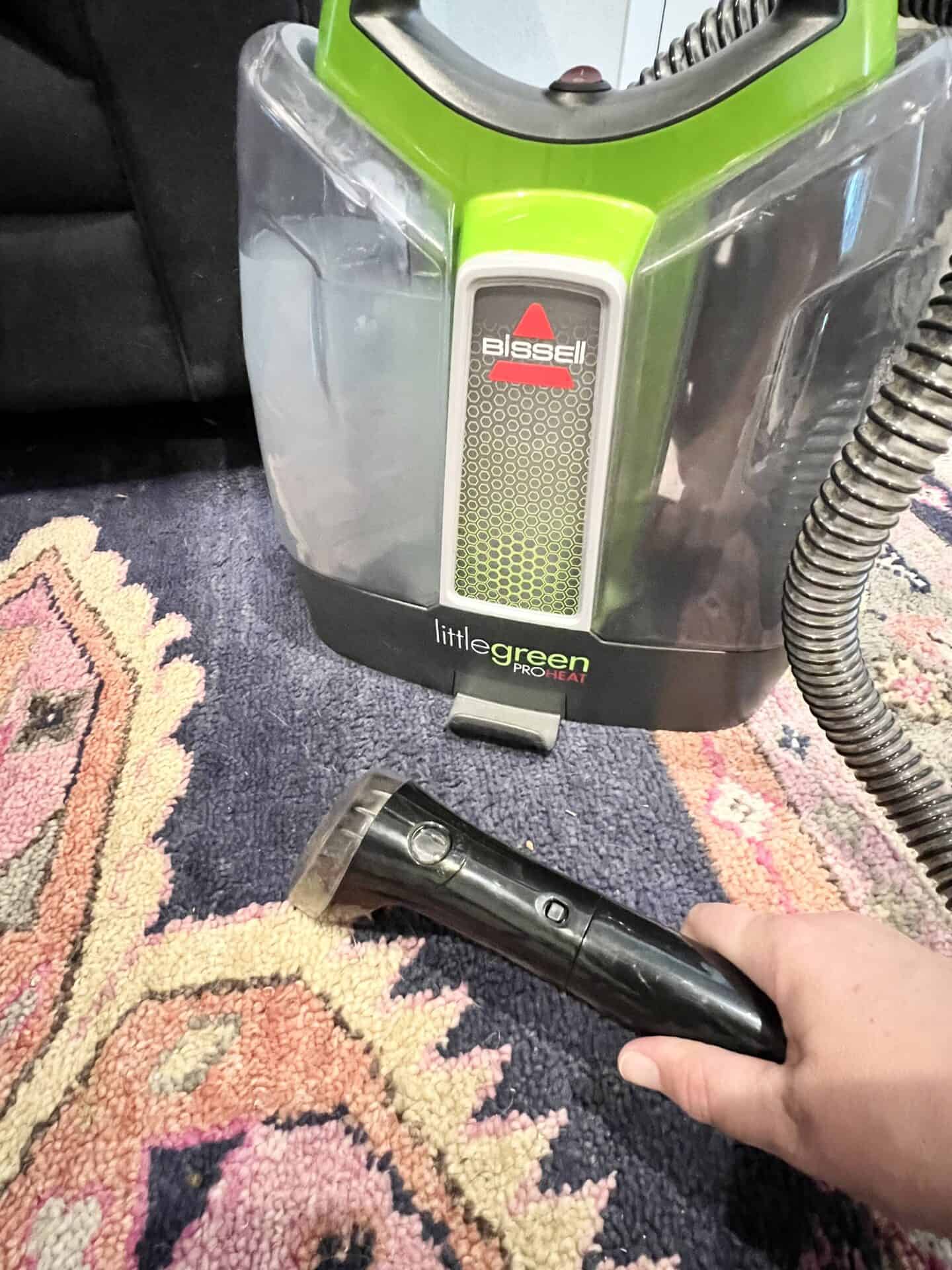 5 Best Cleaners for Pet Accidents That Remove the Smell I Spy Fabulous