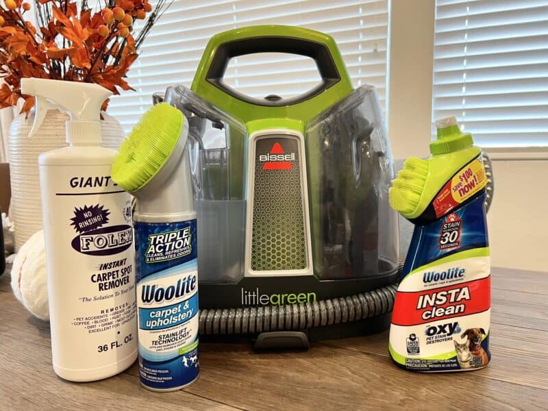 5 Best Cleaners for Pet Accidents That Remove the Smell