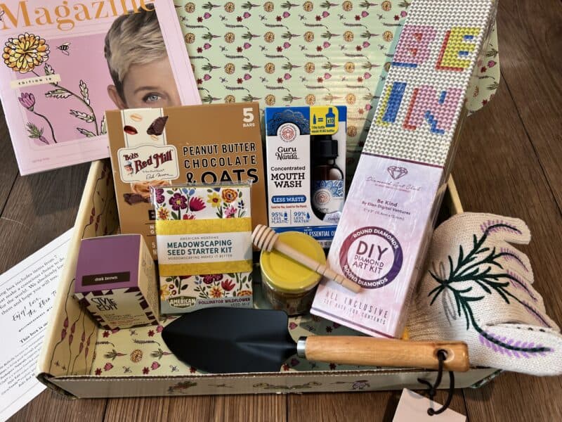 The Spring Be Kind by Ellen Box Review (With Video!)