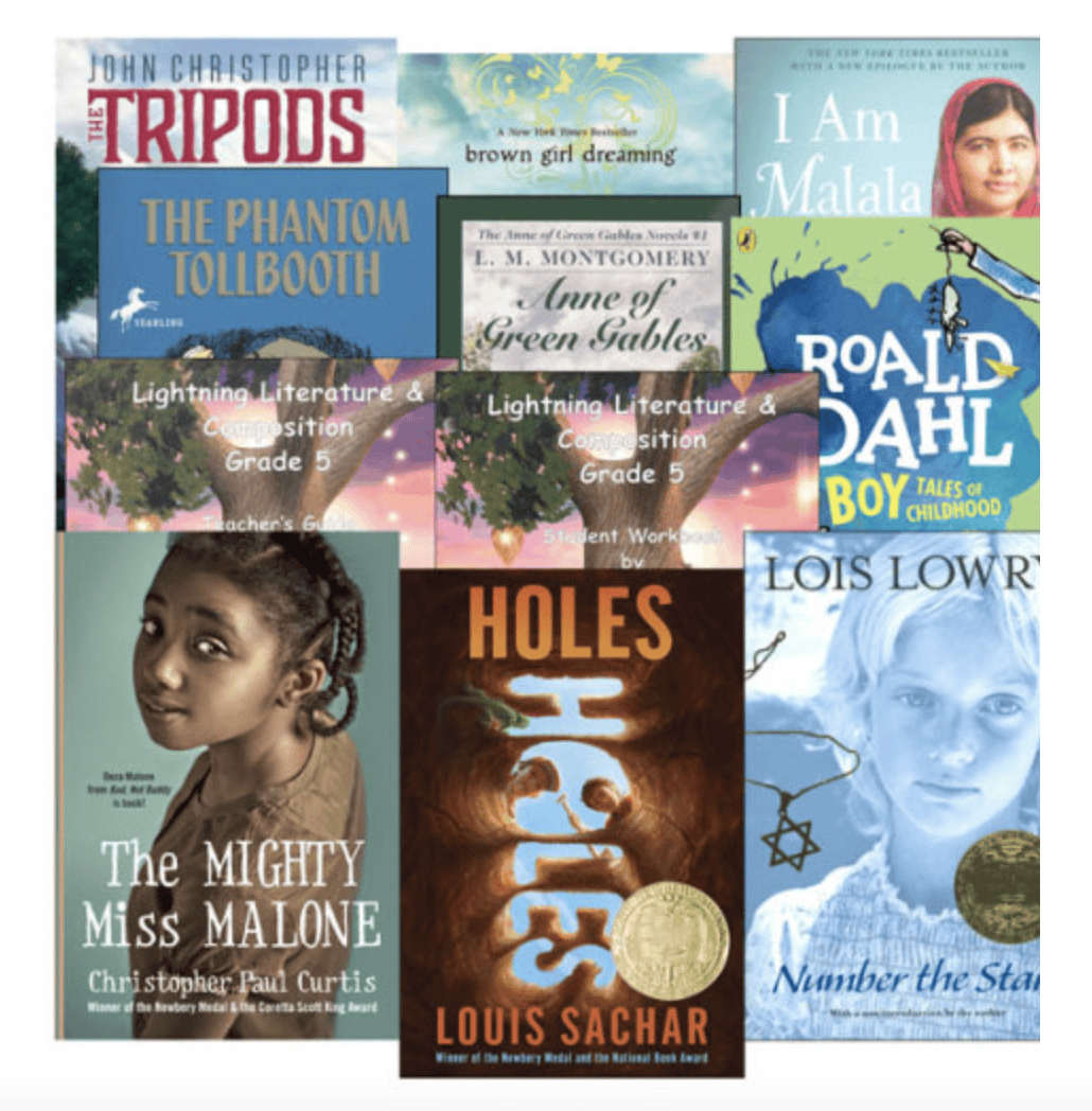 5th grade Lightning Literature book 5th grade Lightning Literature book
