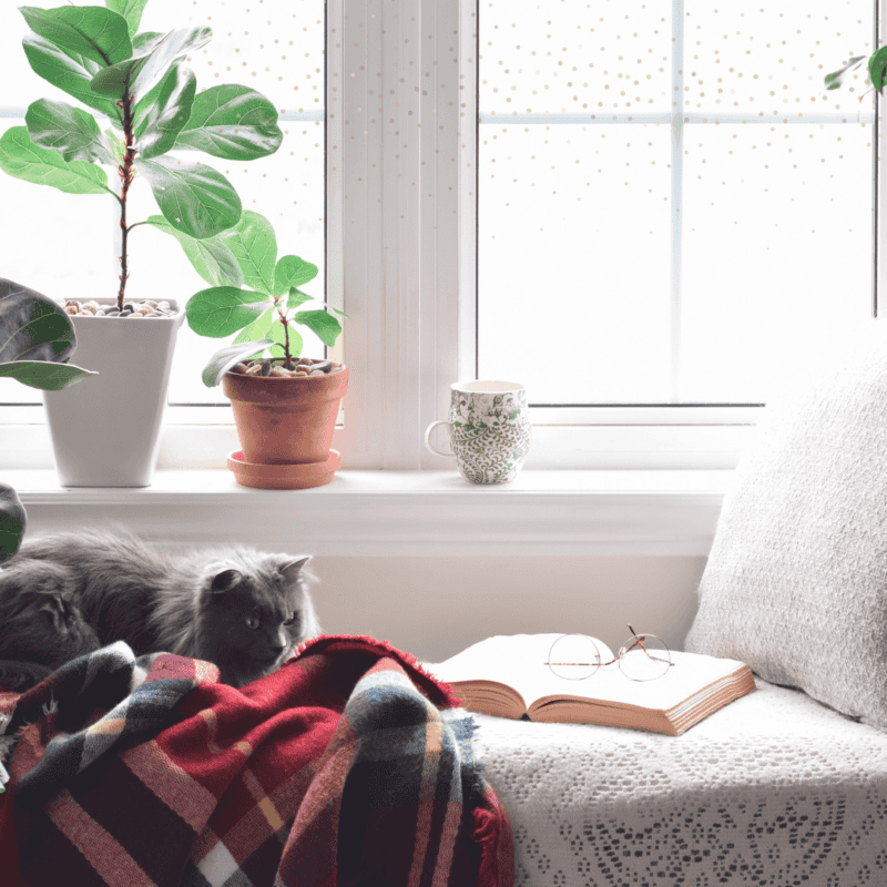 11 Ultimate Gifts for the Book Lover in Your Life