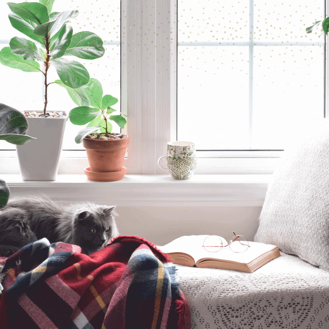 book lover gifts, book nook
