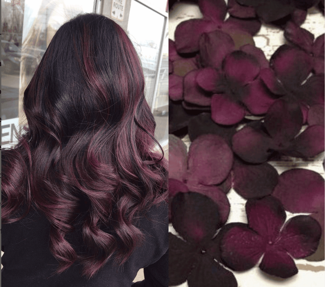 burgundy hair color winter hair color