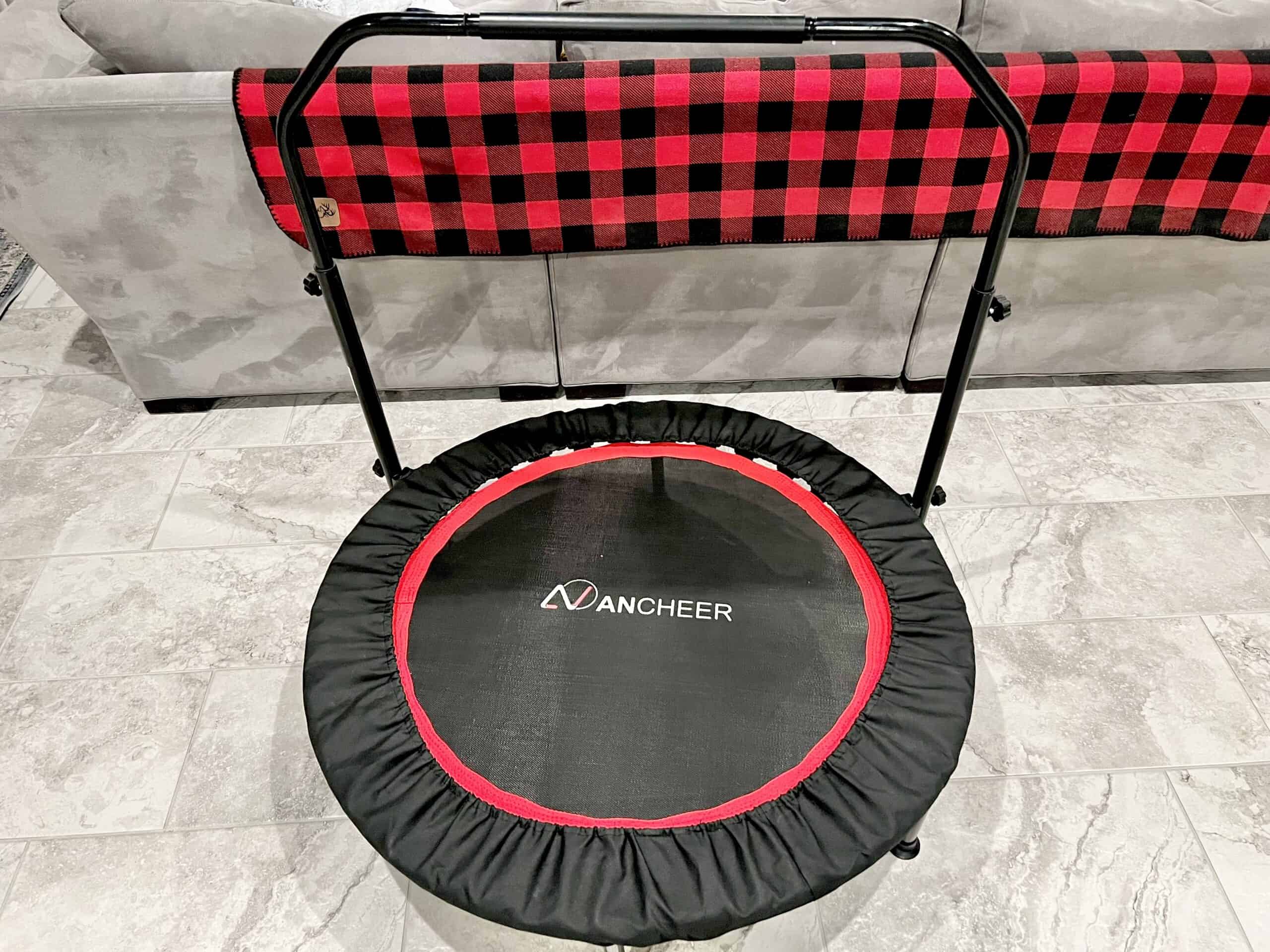 rebounder
