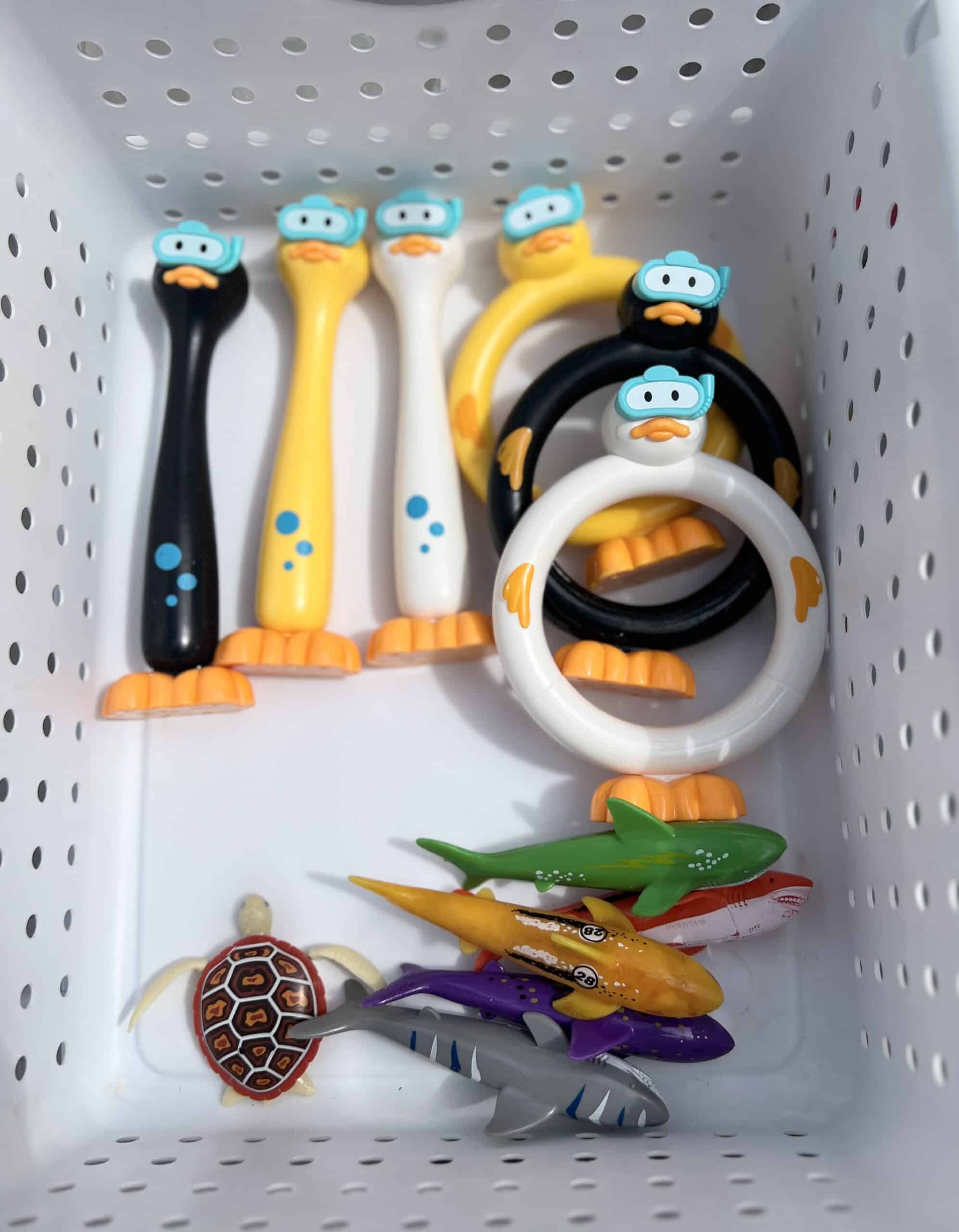 pool toys